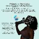 26.webp