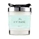 HappiNest 1Pc Modern European Plant Scent Aromatherapy Candle Living Room Bedroom Air Purification Enduring Fragrance Candle Cups Decor